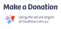 Give By Credit Card Online Button