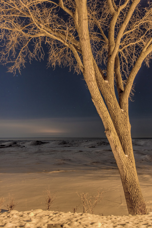 mich_night_winter_ice_white_tree.jpg