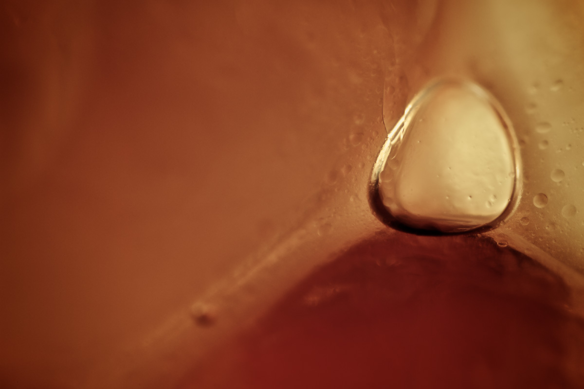 macro_caviar_orange_close.jpg