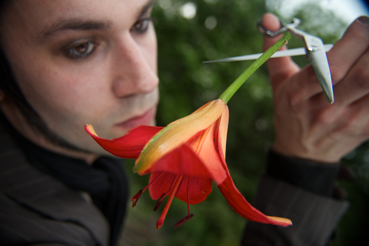 port_geoff_flower_down.jpg
