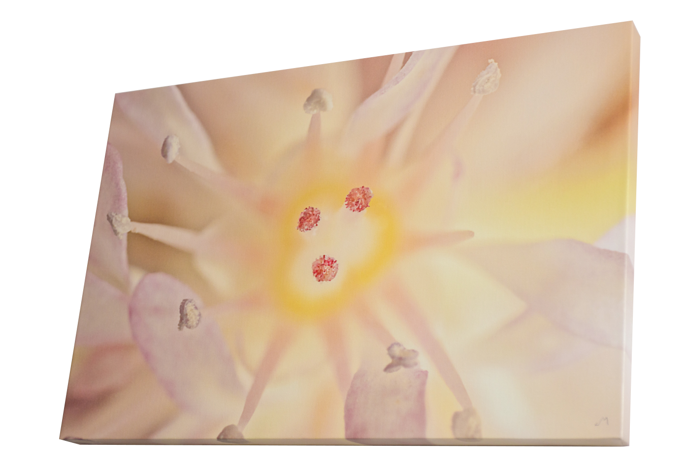 canvas1.png