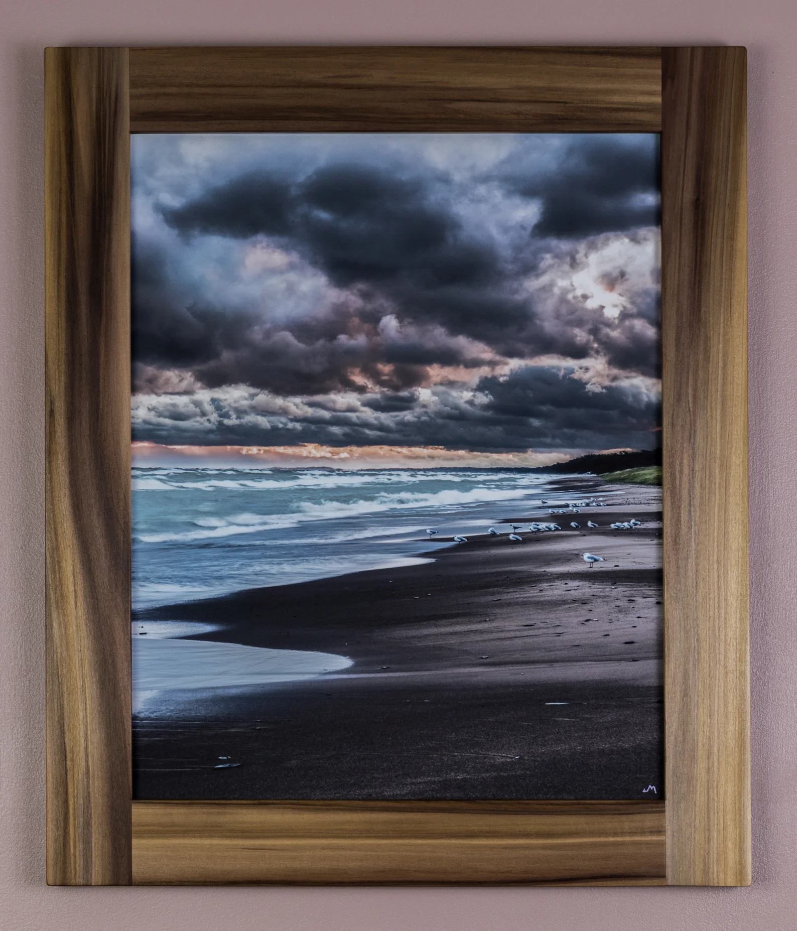 9767 - Framed Birds Rainbow Poplar web.jpg