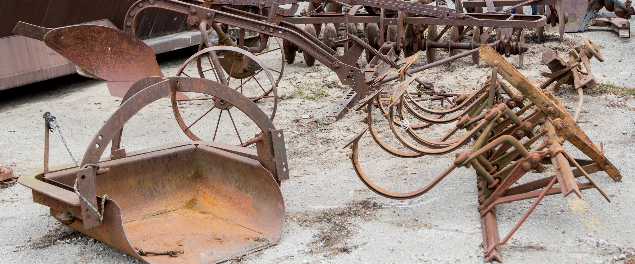 AgriSculpture-0989 web Rendered 37.jpg