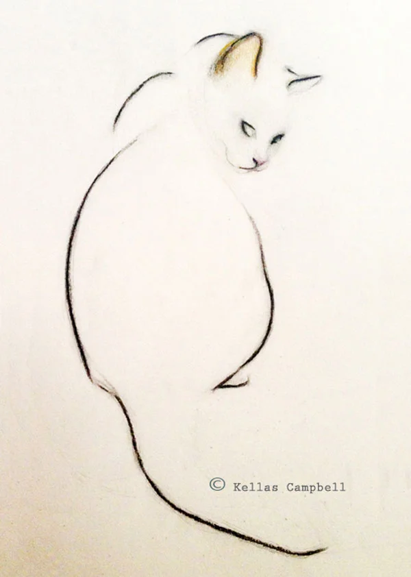 cat_sketchww.jpg