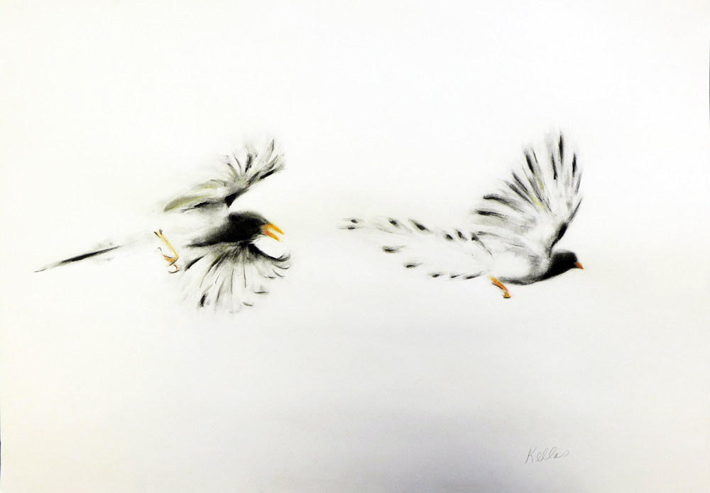 Flight