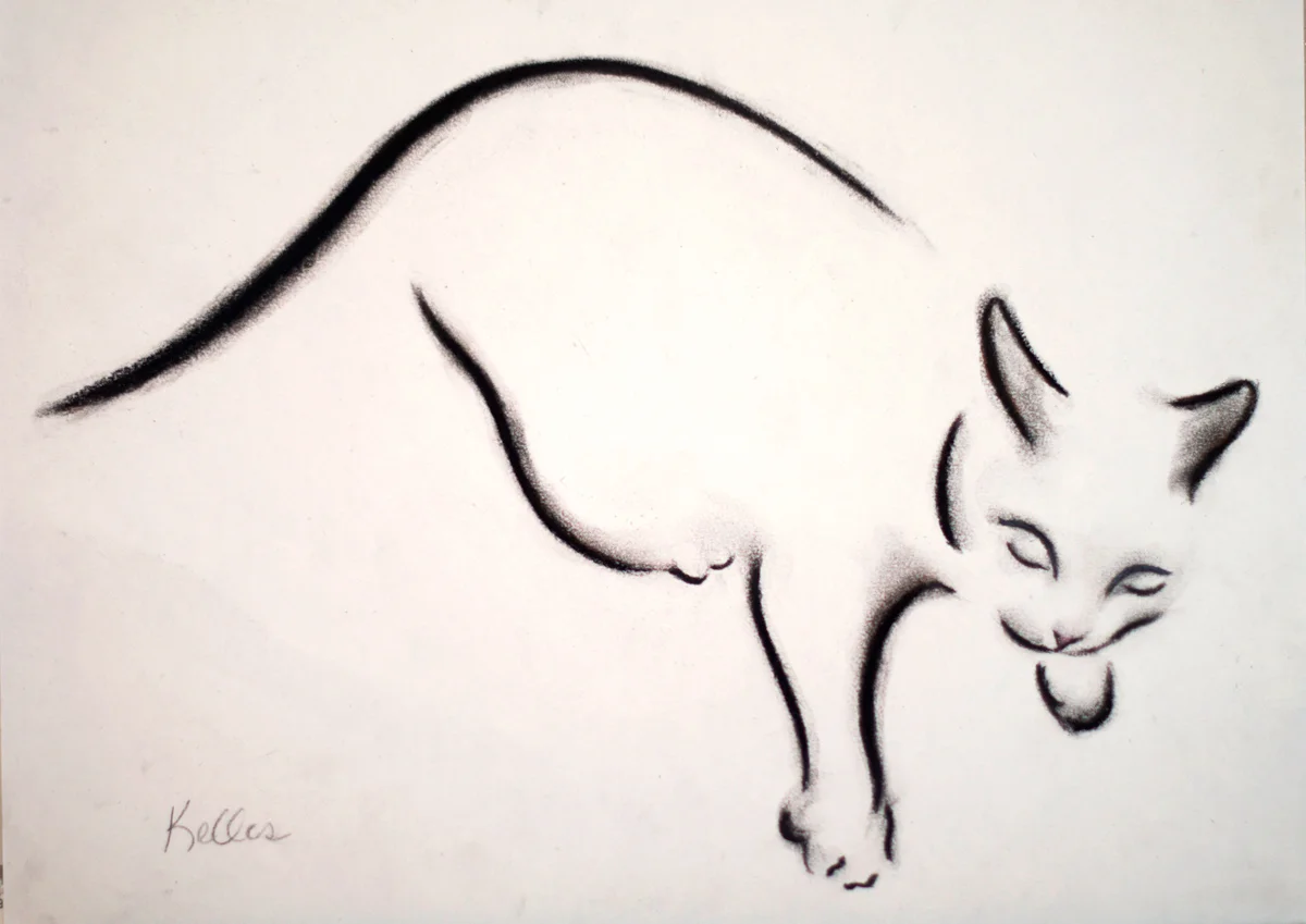 Charcoal Cat