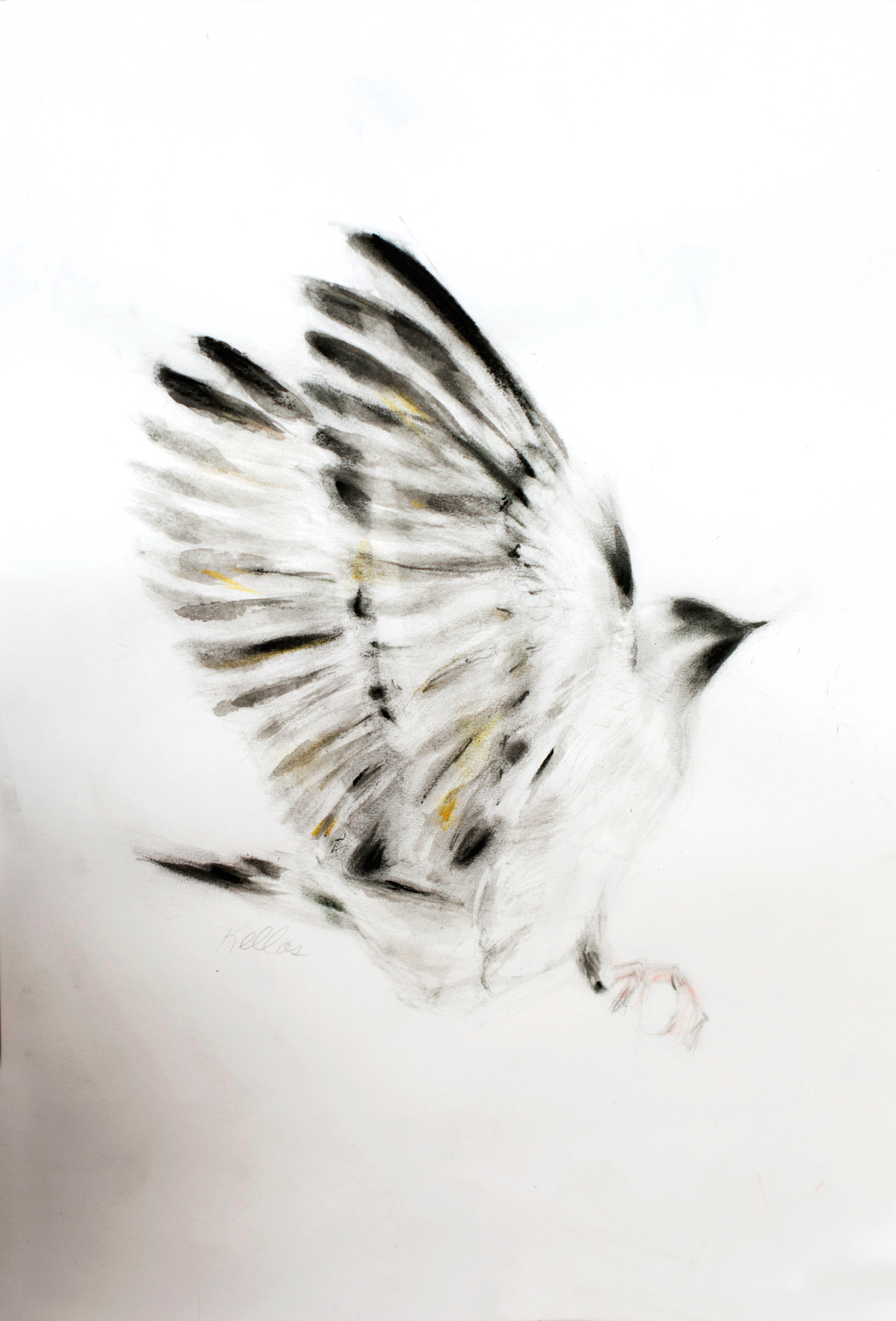 Outstretched Wings