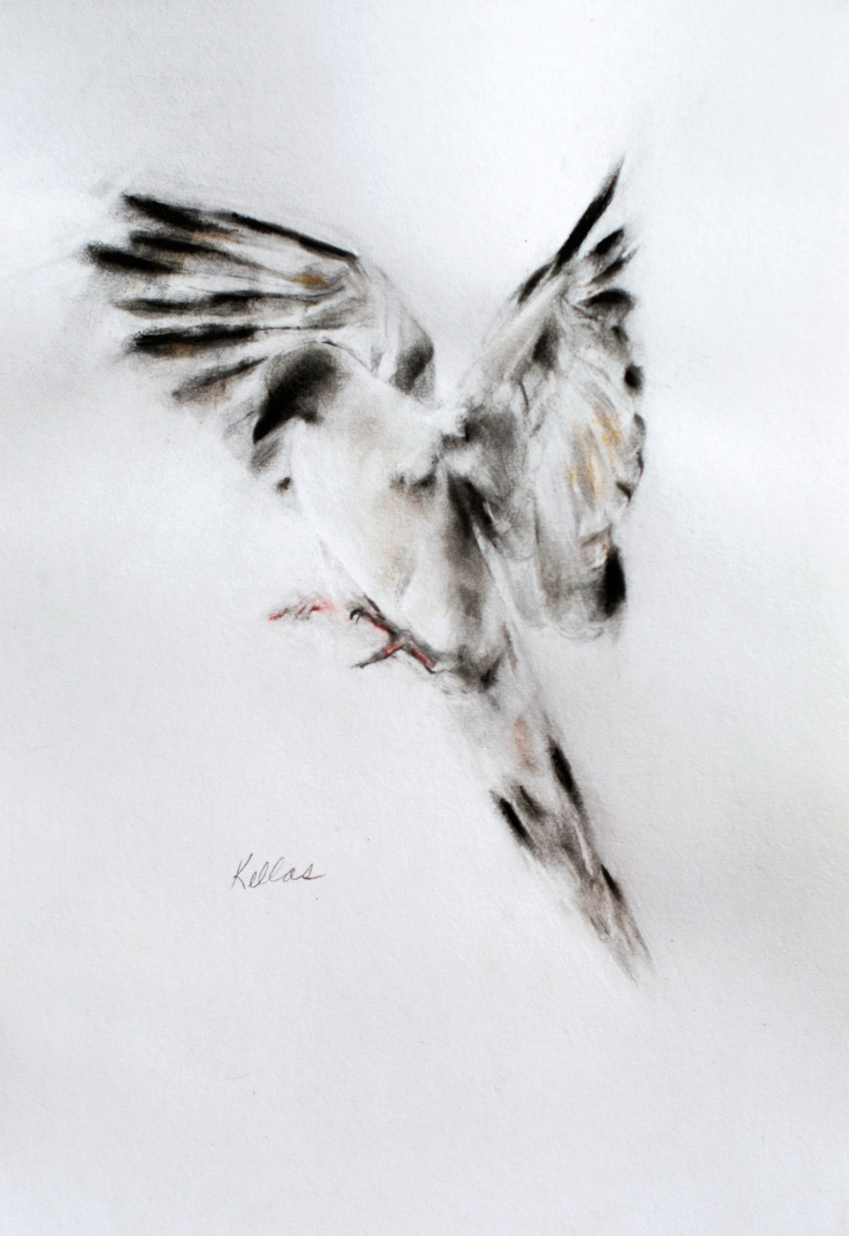 This is another drawing based, with his permission, on one of K.C. Wu's beautiful photos. You can see his photos at his Google Plus page: https://plus.google.com/+KcWugonggi/posts