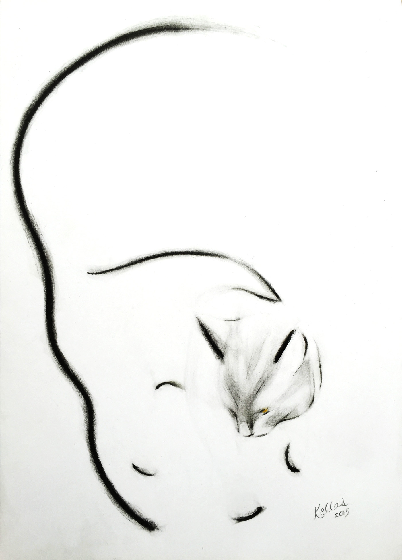 A drawing of my black cat, Noir. This drawing is also now in Devon.