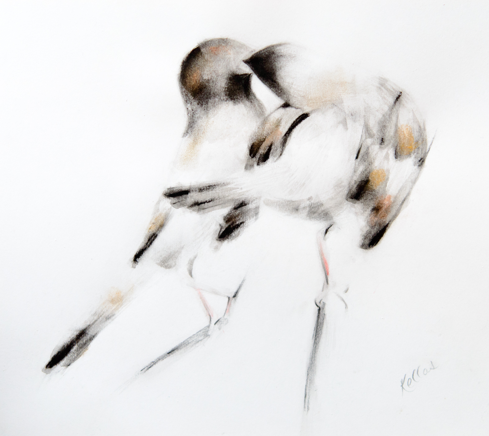 July 8, 2015. Based on a mother sparrow feeding her fledgling at the bird feeder outside my front window.