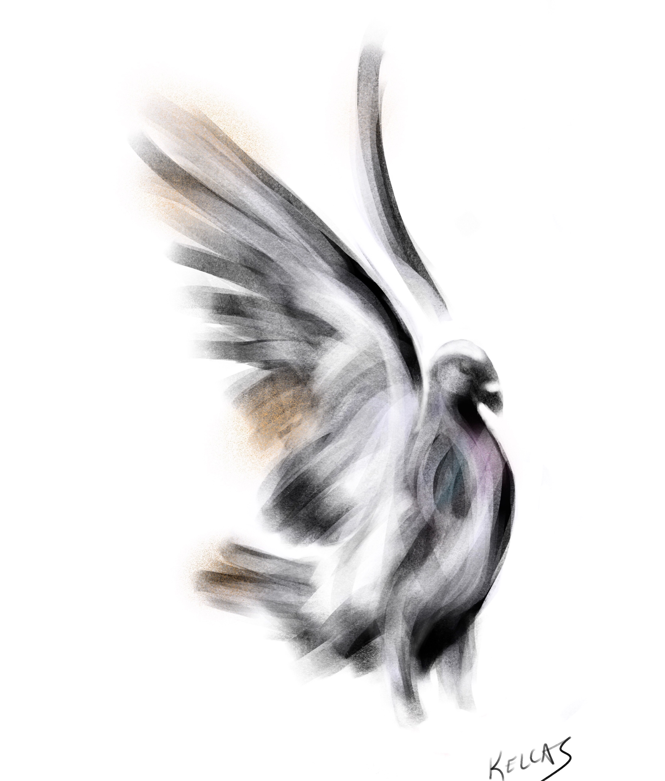 I was trying out new brushes on an iPad drawing app and it turned into a pigeon.