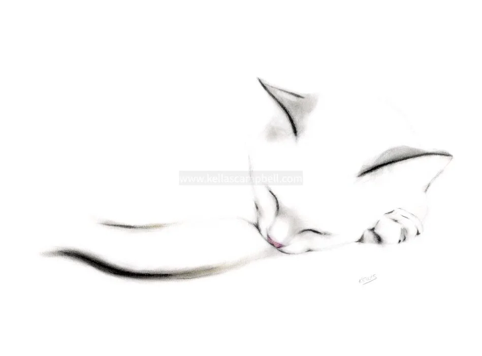 Dreaming Cat Signed Giclee Print