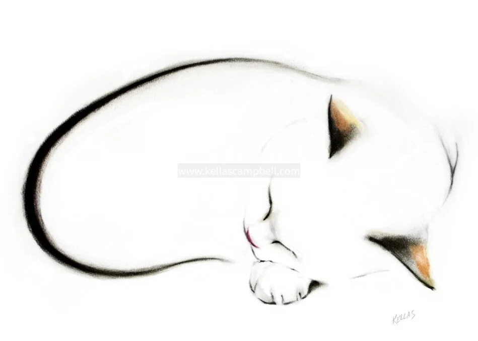 Sleeping Cat Signed Art Print