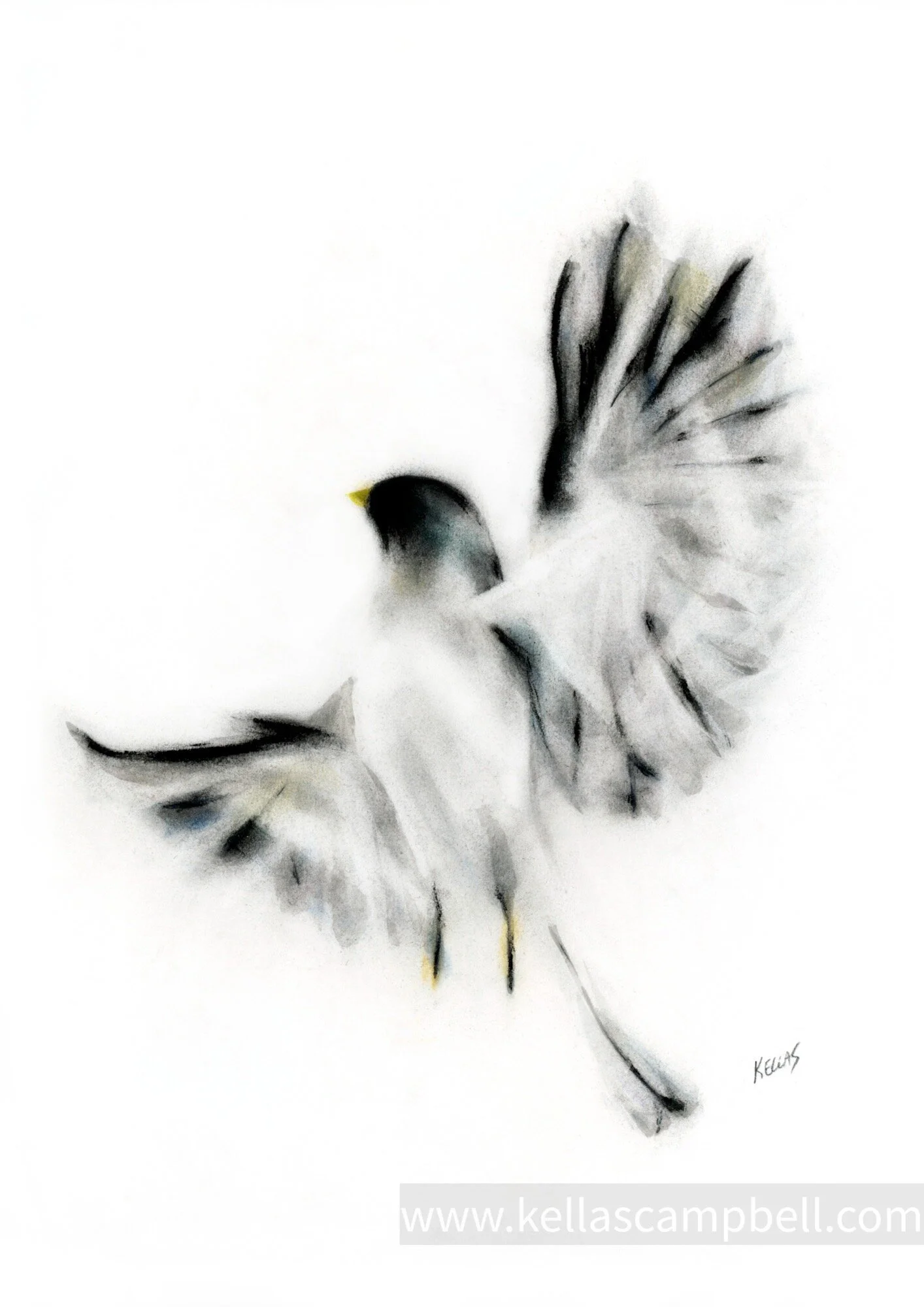 94240B45-9B5F-45DB-84A6-5956427DA63D