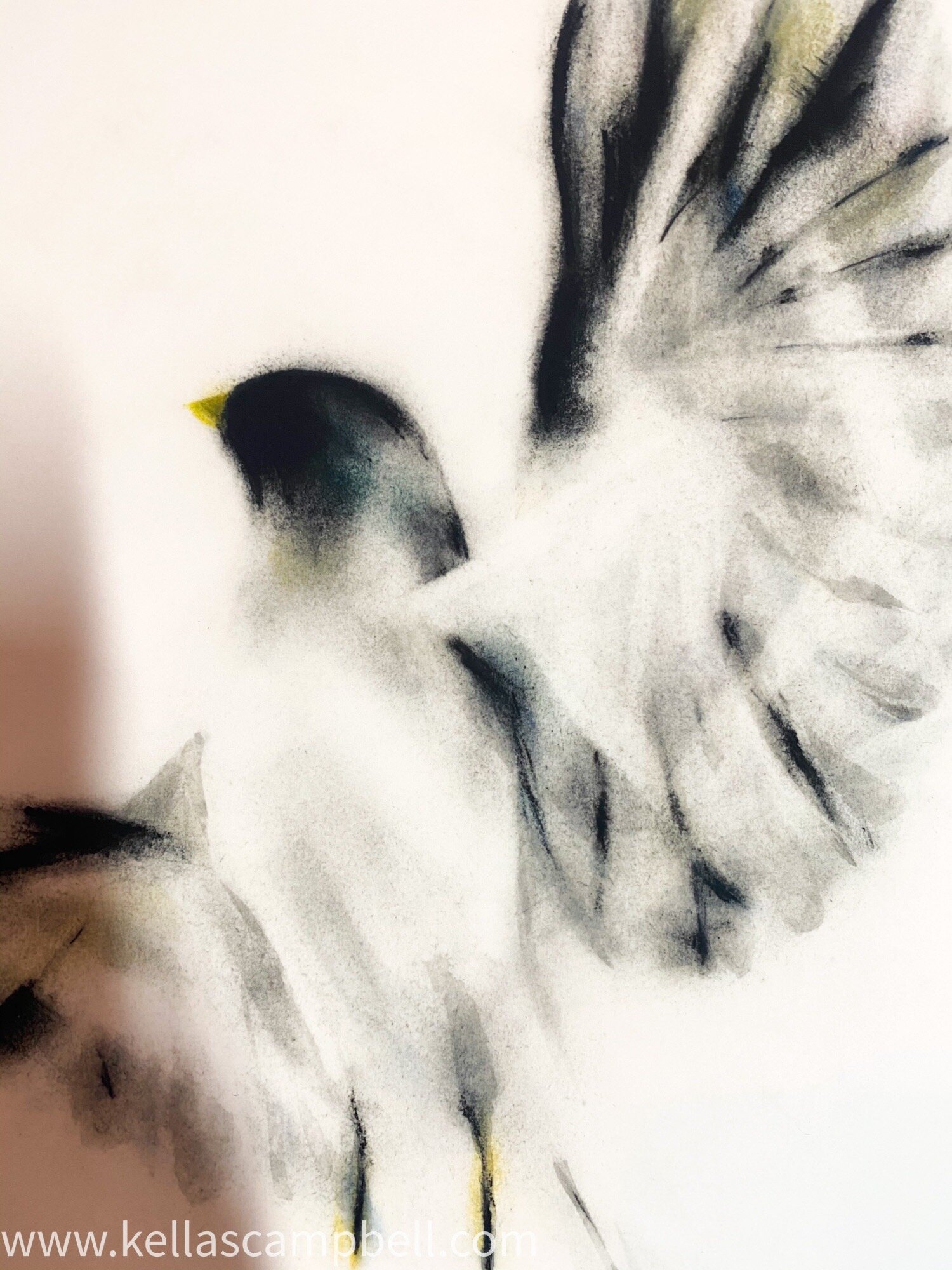 213E190D-EDF1-467B-B0A7-9473830A7183