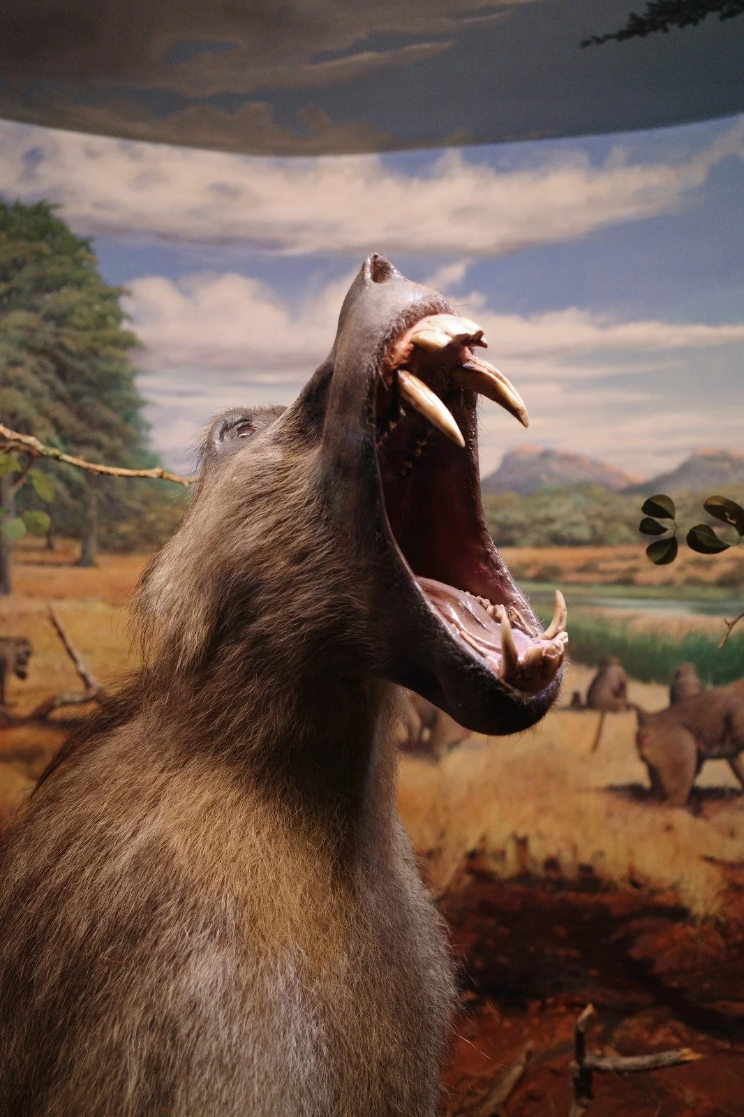 WhatsApp Image 2025-07-30 at 16.07.38.jpeg