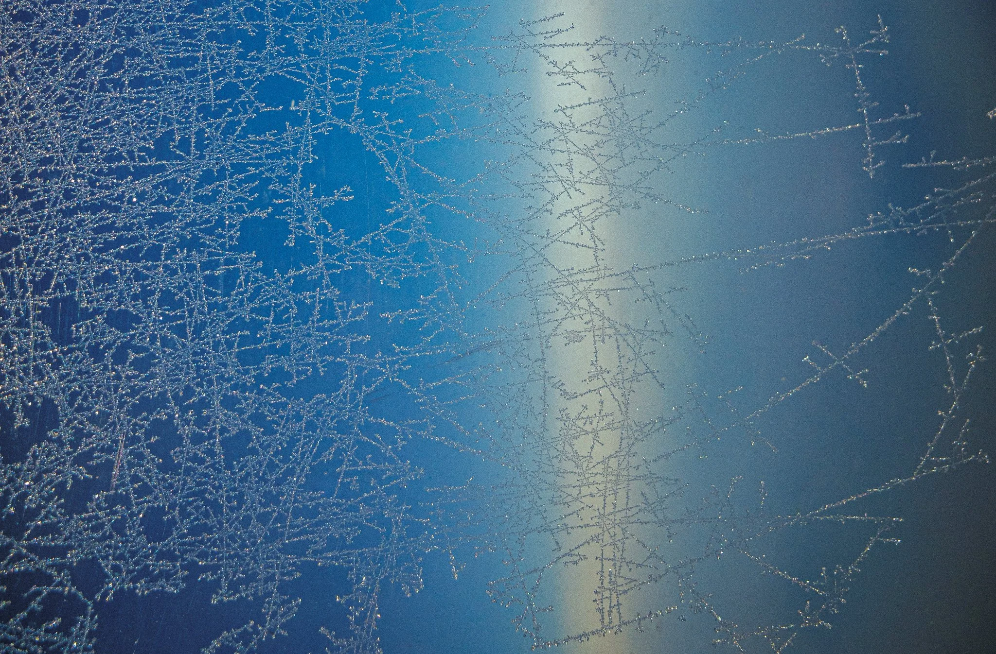 R0003476.jpg