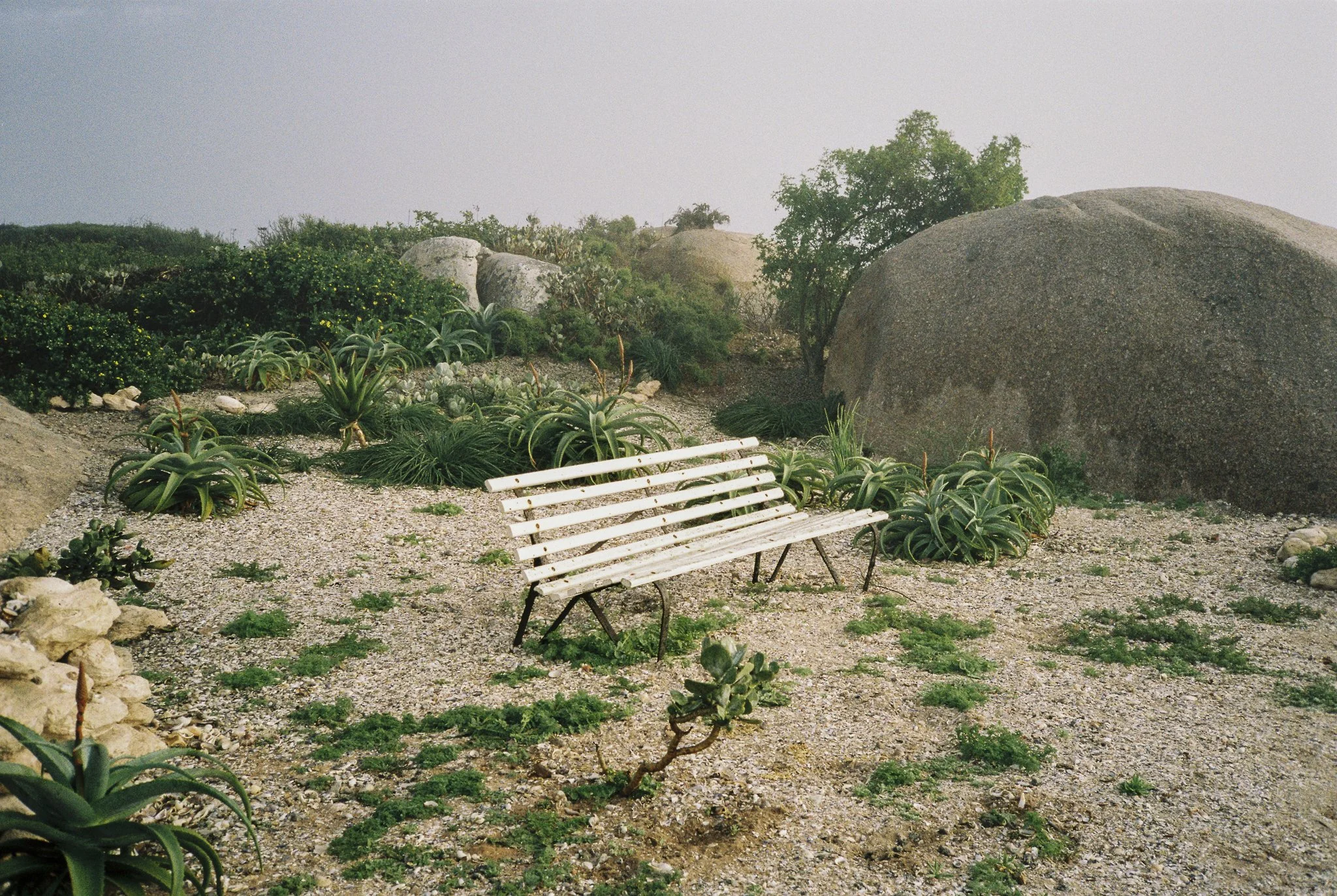 v7-77.jpg