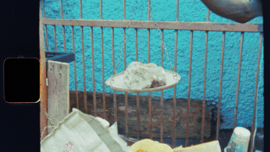 expedia33.gif