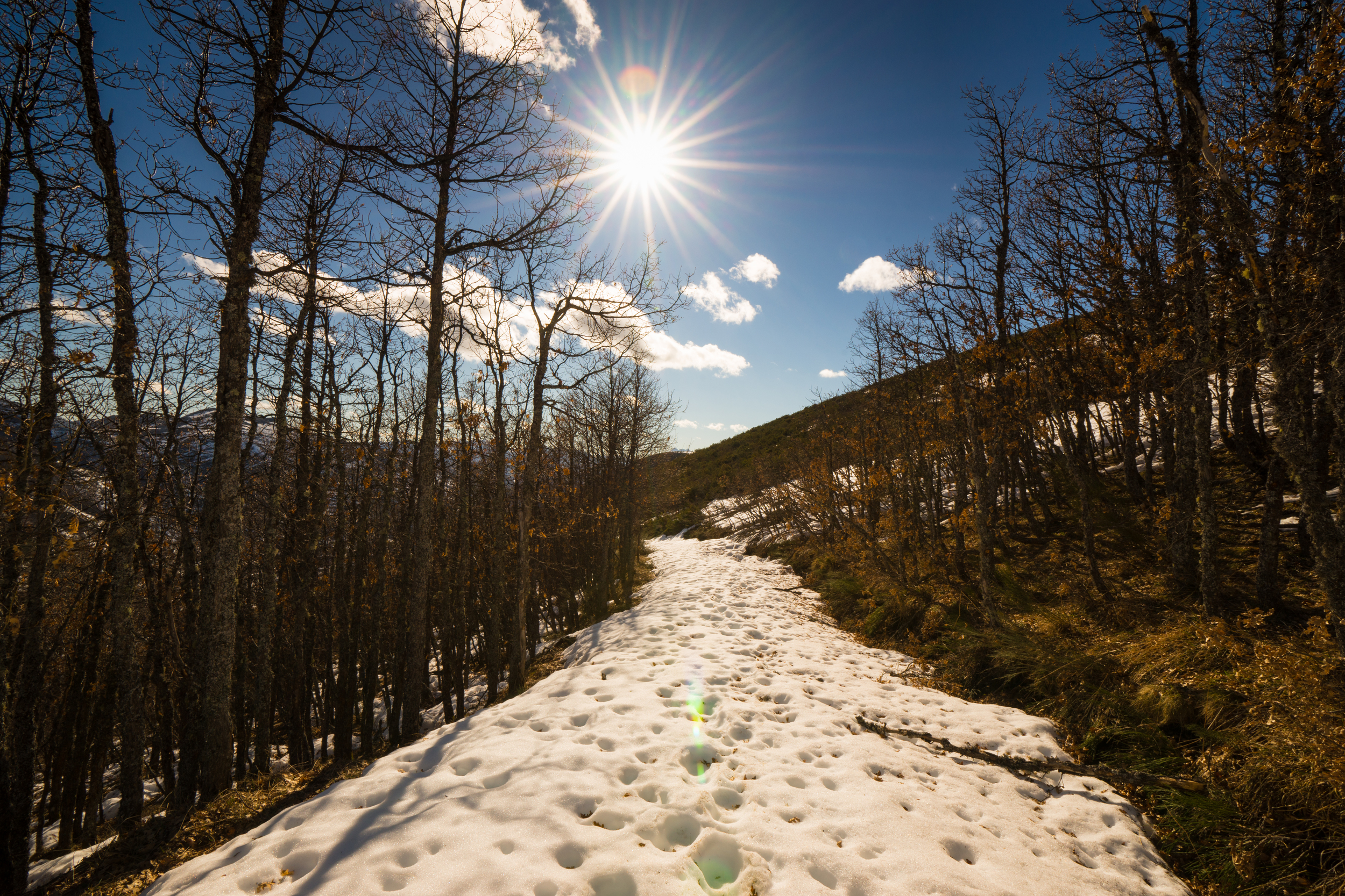 After surviving the rustling bush my journey to the top was quite straight forward, apart from the waist deep snow in places (so much for the light sprinkling).