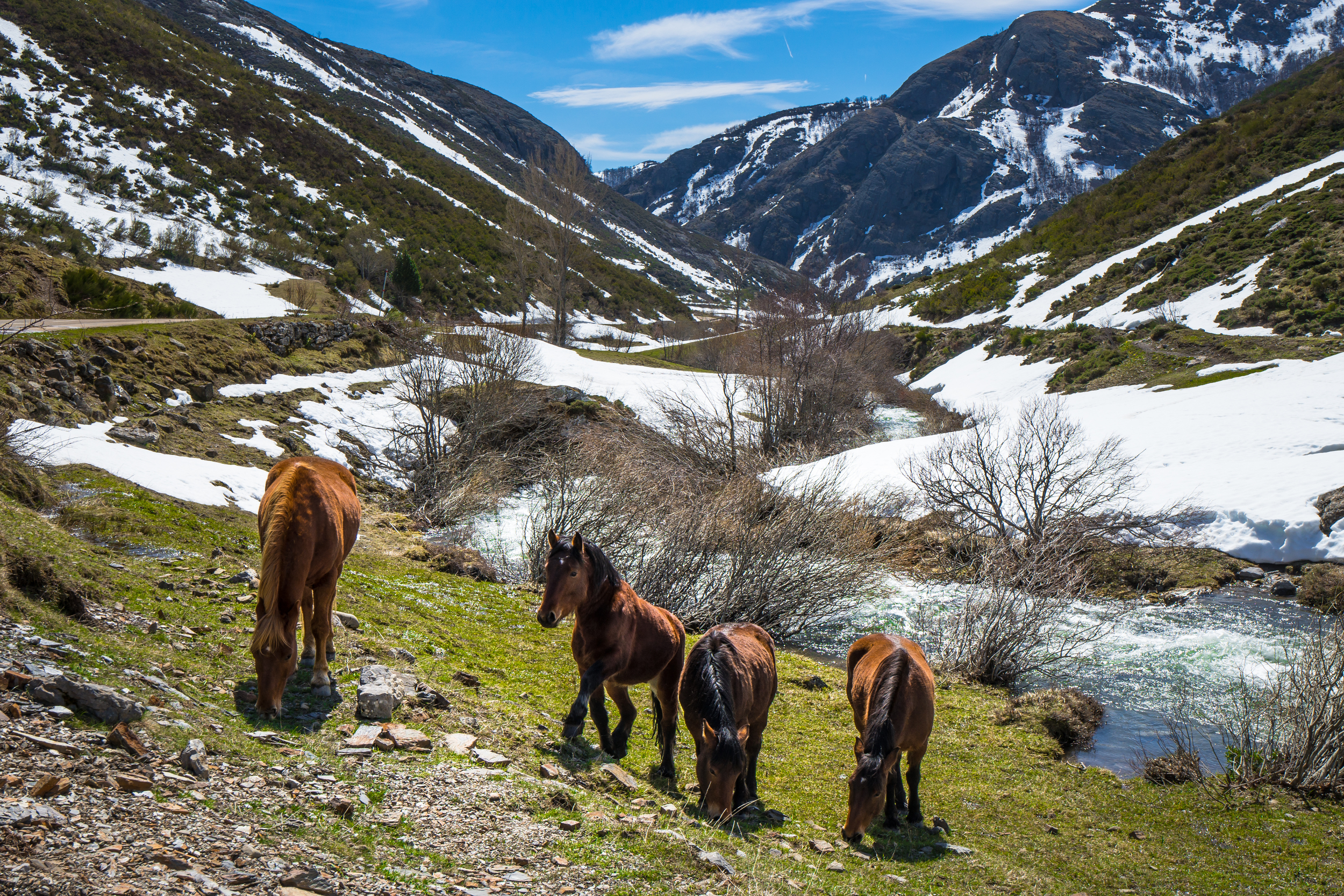 Valley of the horses