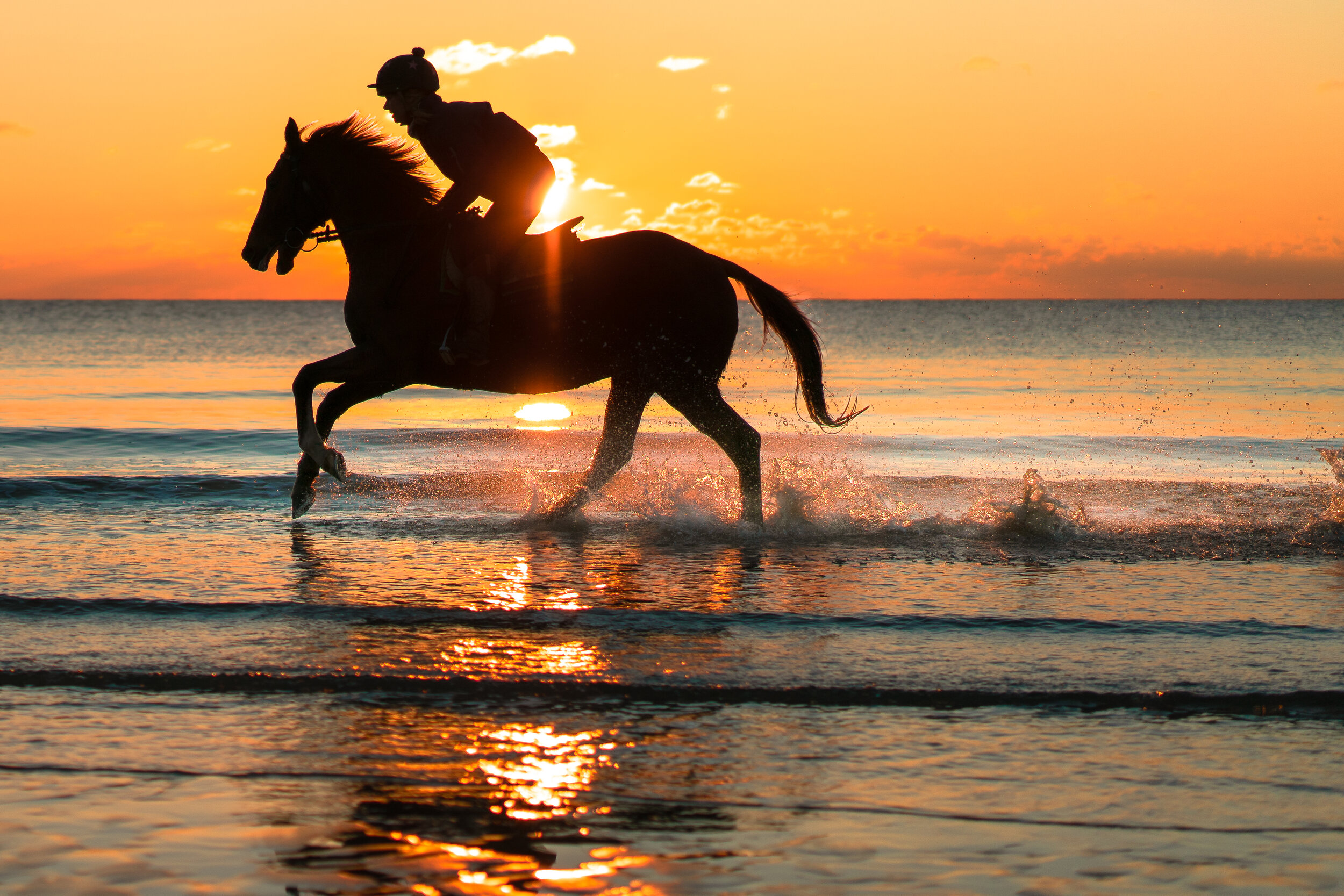 Sunset beach gallops