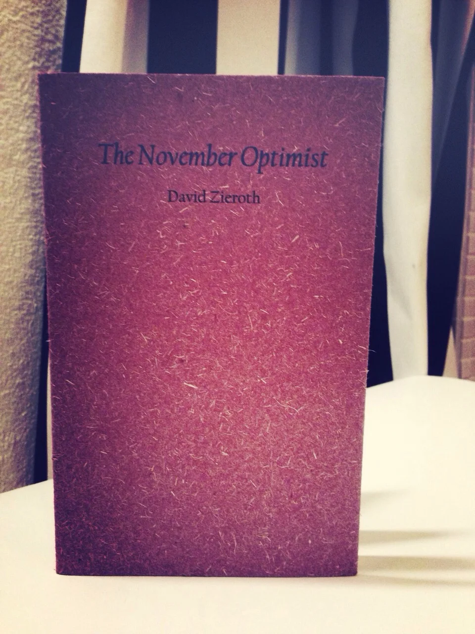 The November Optimist&nbsp;&nbsp;Gaspereau Press&nbsp;2013