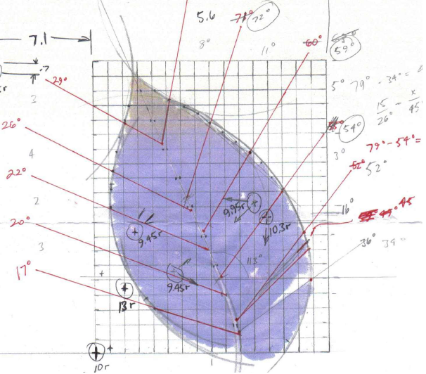 Leaf Geometry.png