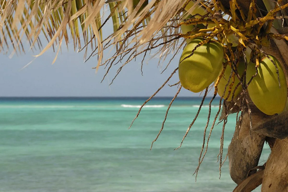 17.01.09 Madr.GR044.JPG