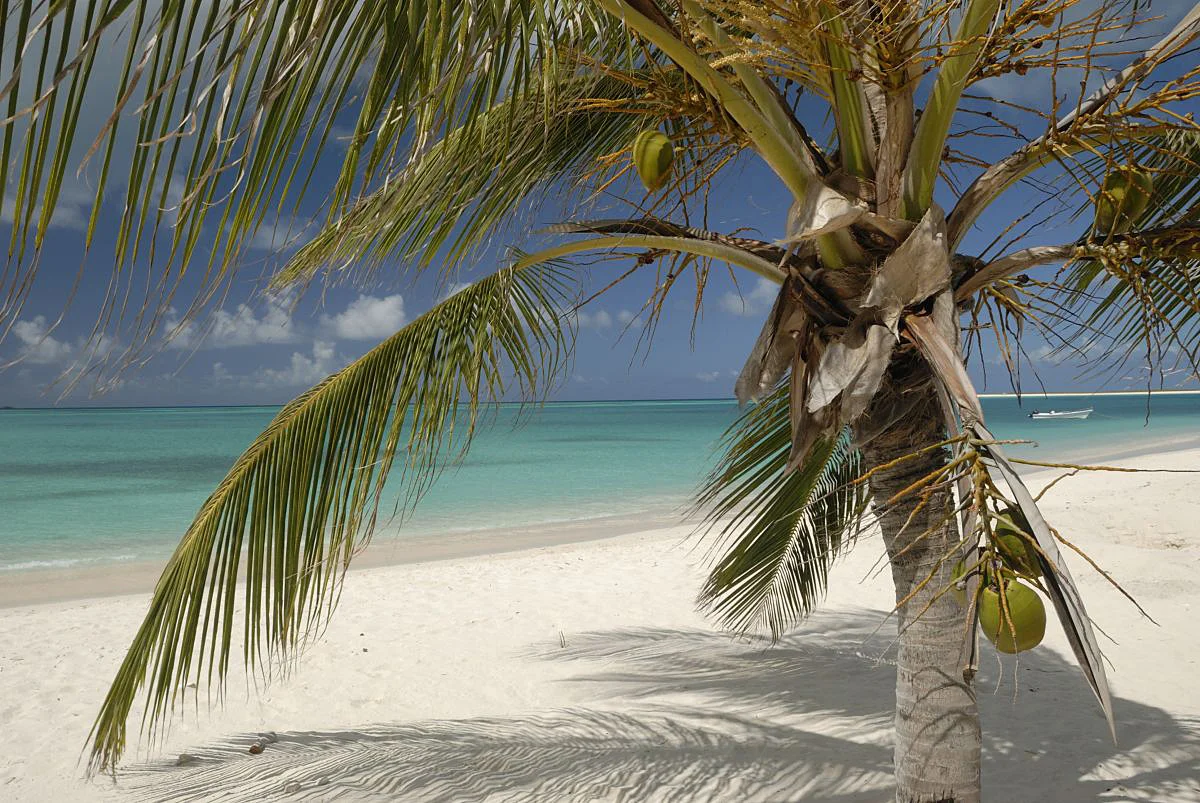 09.01.09 Dos Mosquises029.JPG