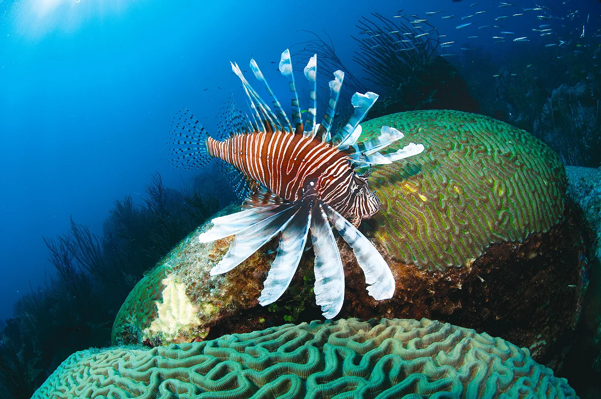 17.09.12 Sebast 026.JPG