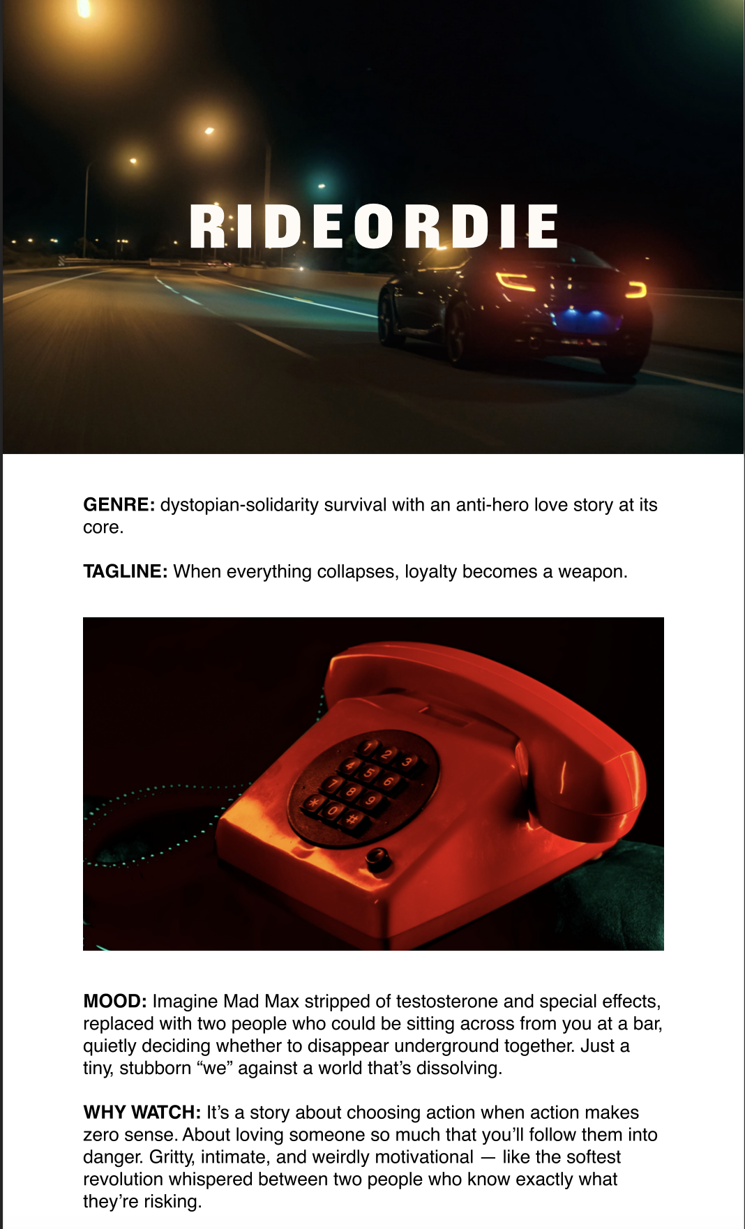 CIFRA. Newsletter.01.png