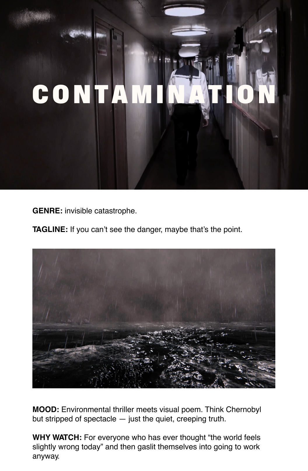 CIFRA. Newsletter.04.png