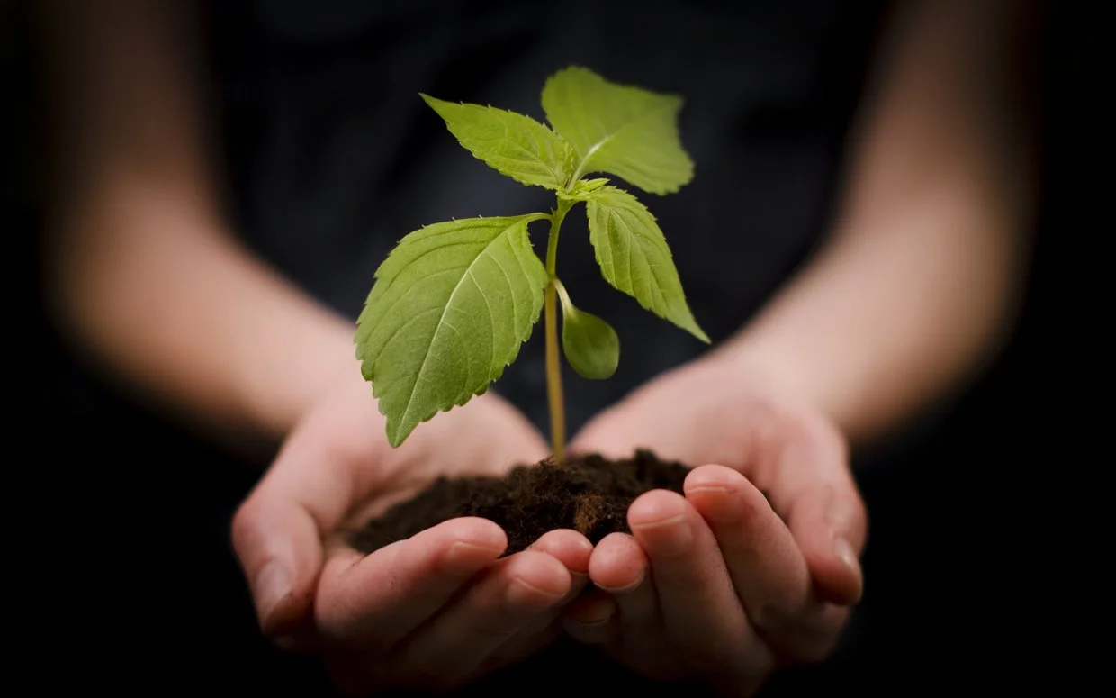 Online Giving Now Available