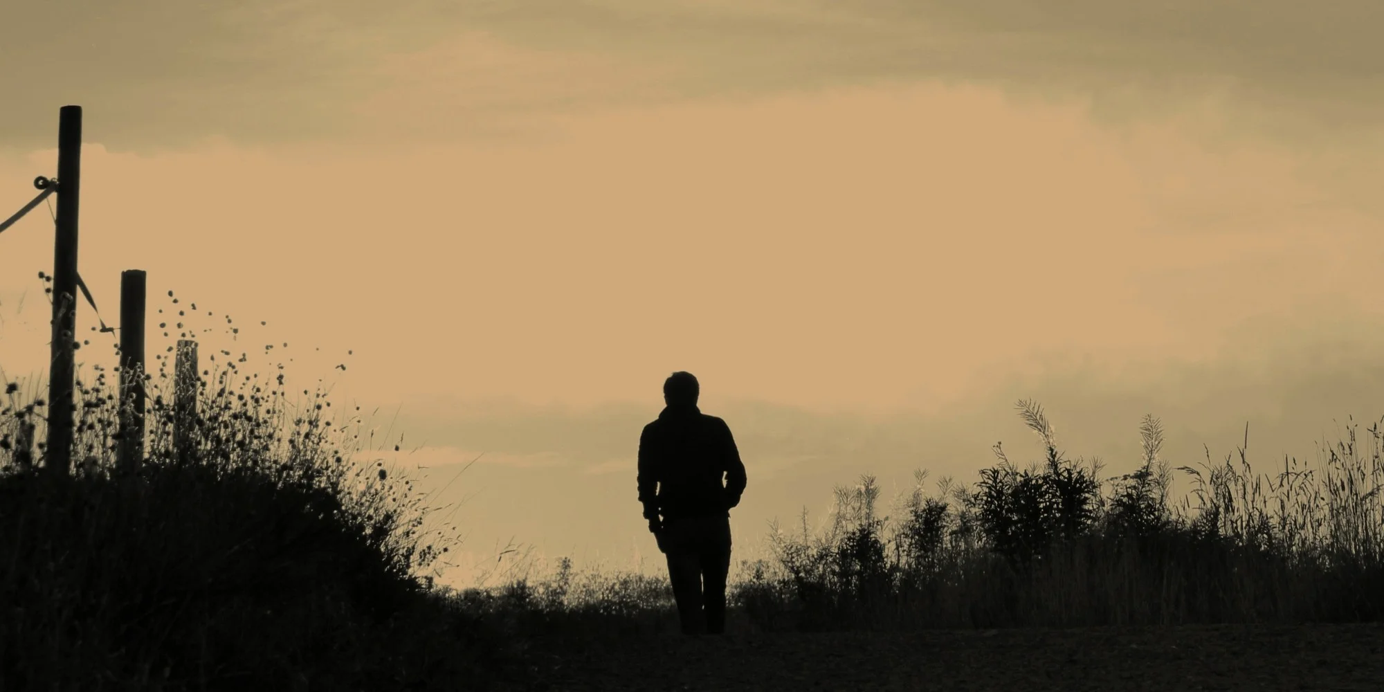 Walking in the Kingdom of God