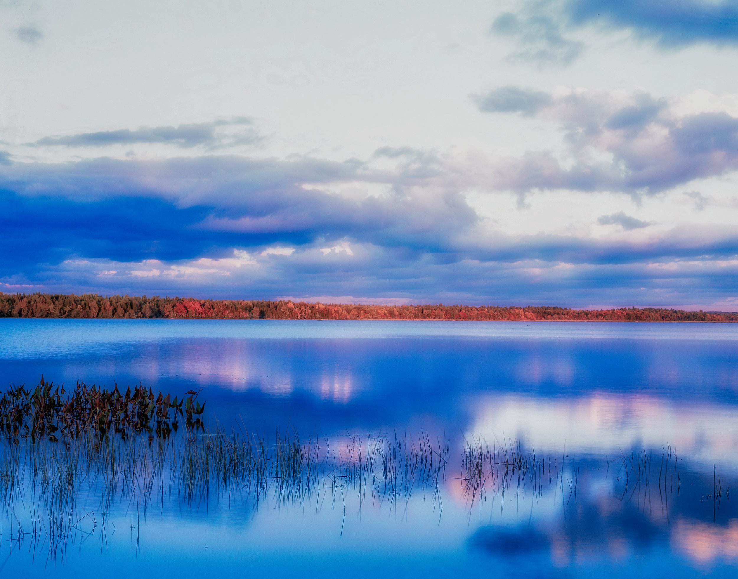 me Tree Line Fire-Edit.jpg