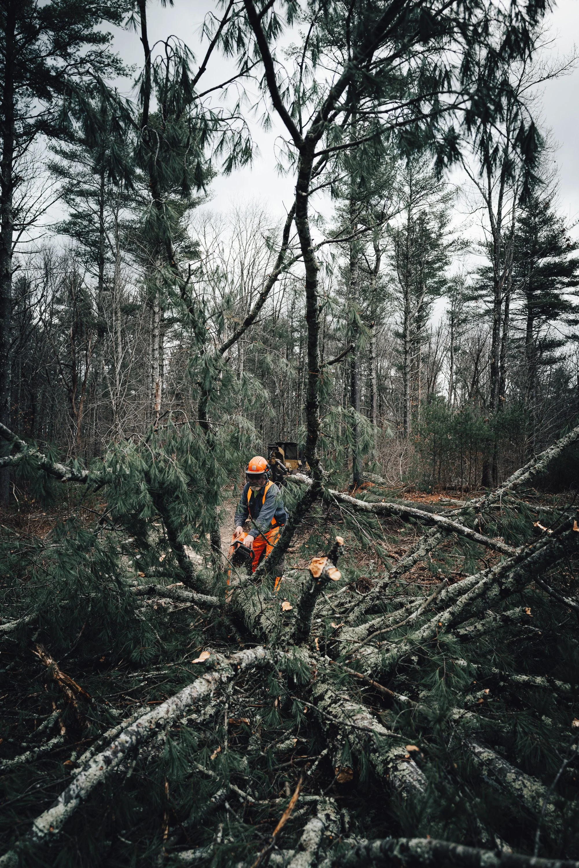 RI_Logging_Bob_Thurber_LQ2_2023_12_04-393.jpg