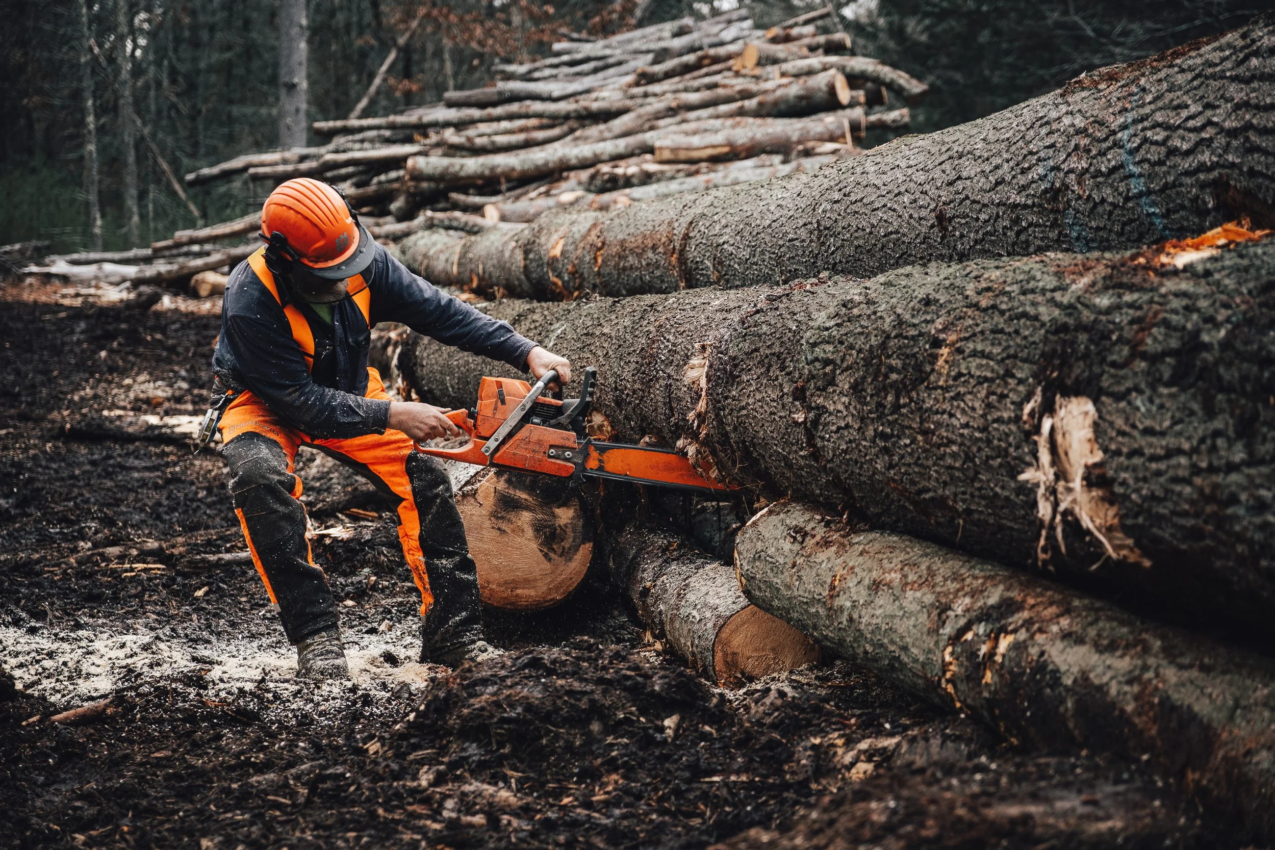 RI_Logging_Bob_Thurber_XT5_2023_12_04-294.jpg
