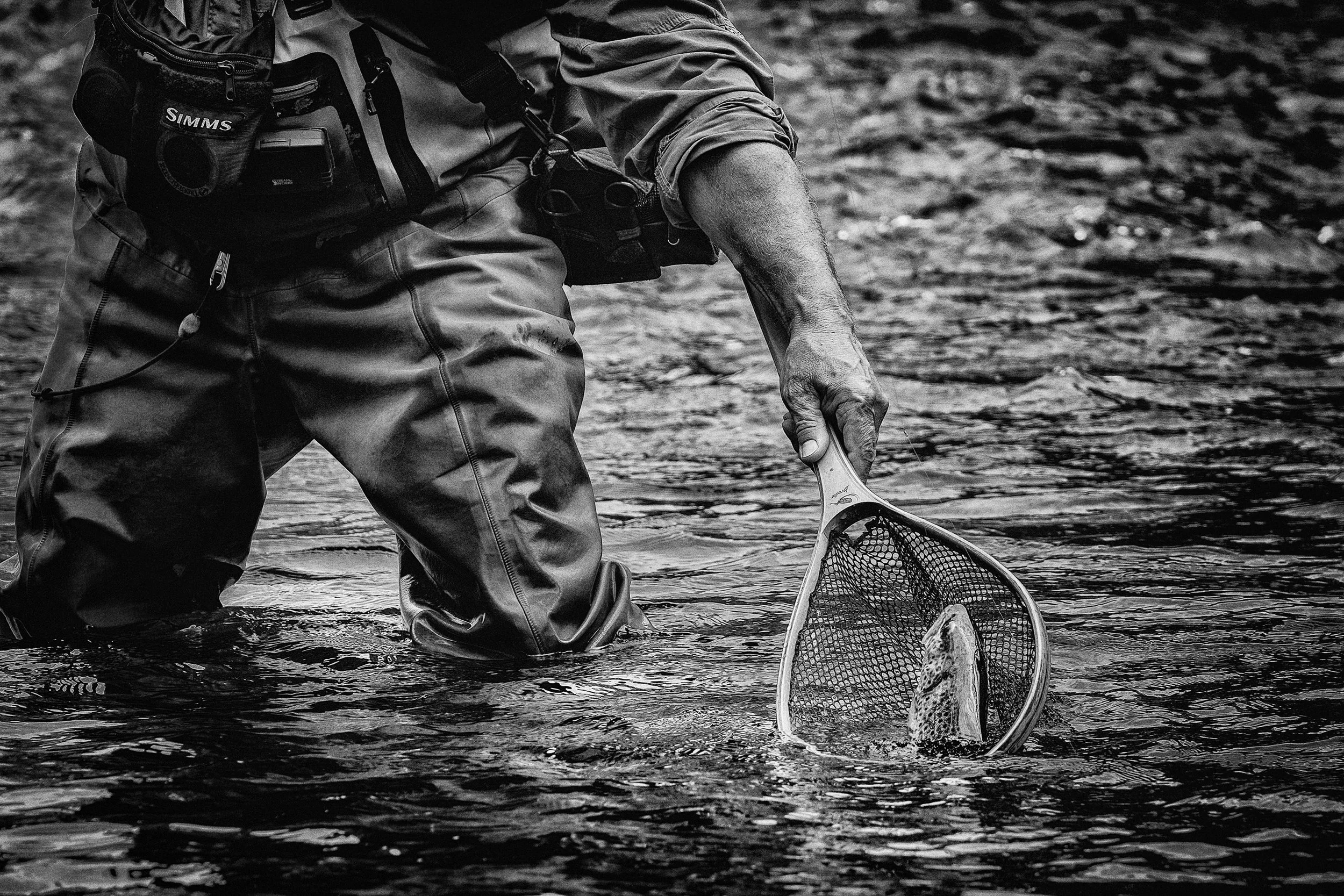 M_Swenson_CT_05-2017-1022-Edit-Edit.jpg