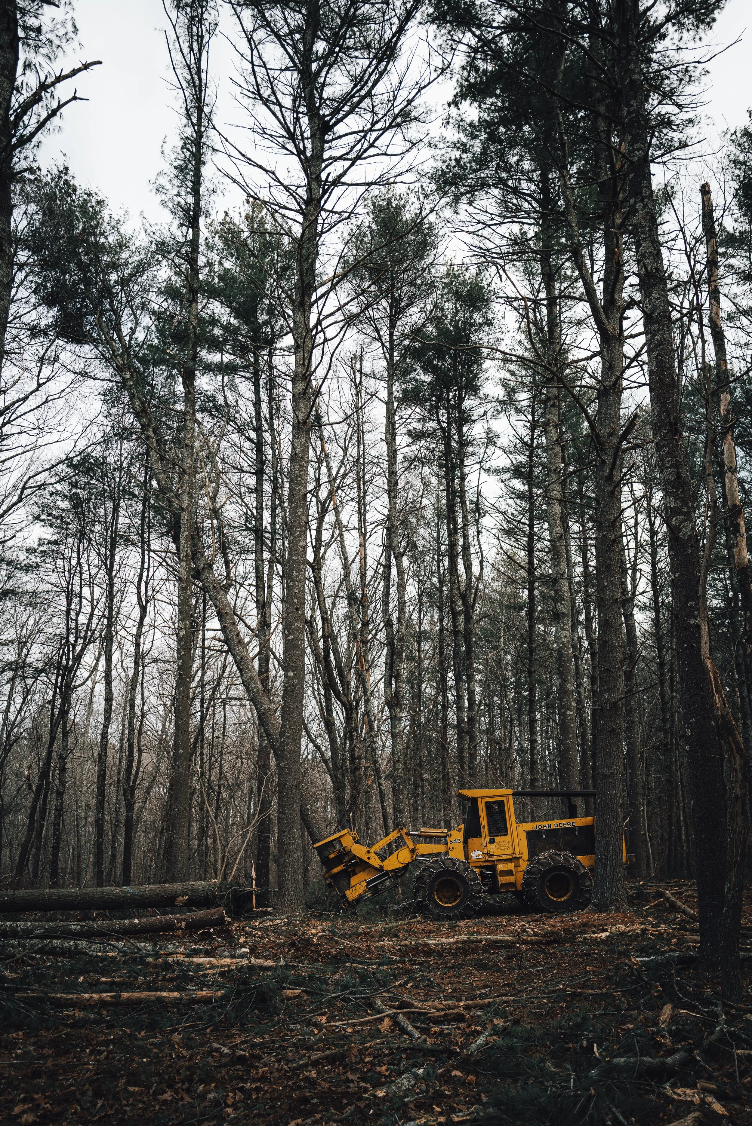 RI_Logging_Bob_Thurber_LQ2_2023_12_07-109.jpg