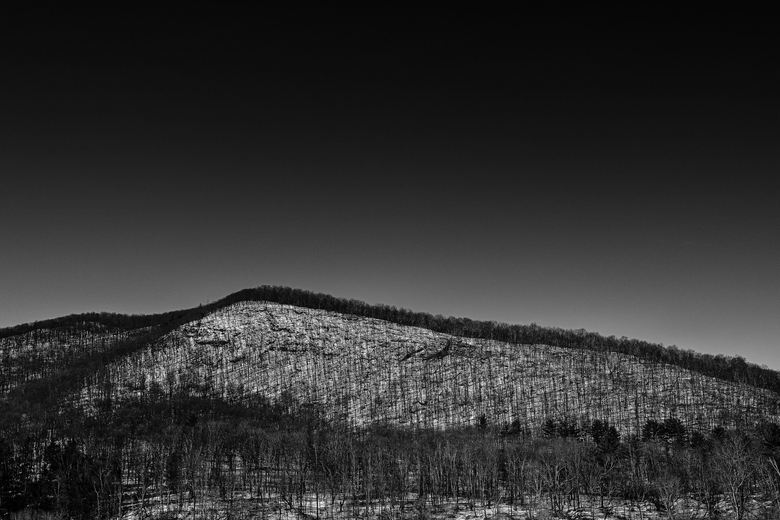 VT_stock_2022_02_01-12-Edit.jpg