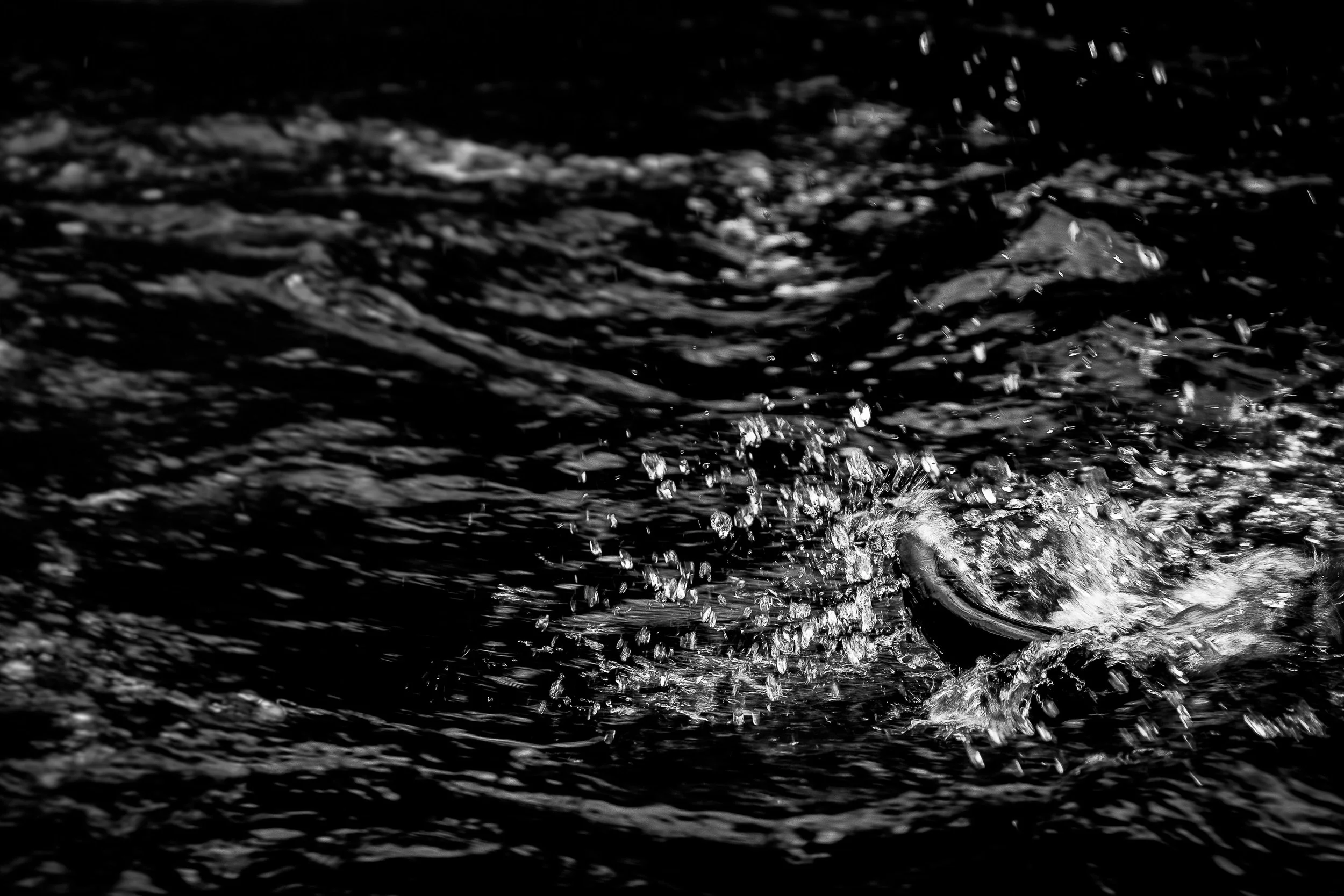 M_Swenson_CT_05-2017-325-Edit.jpg