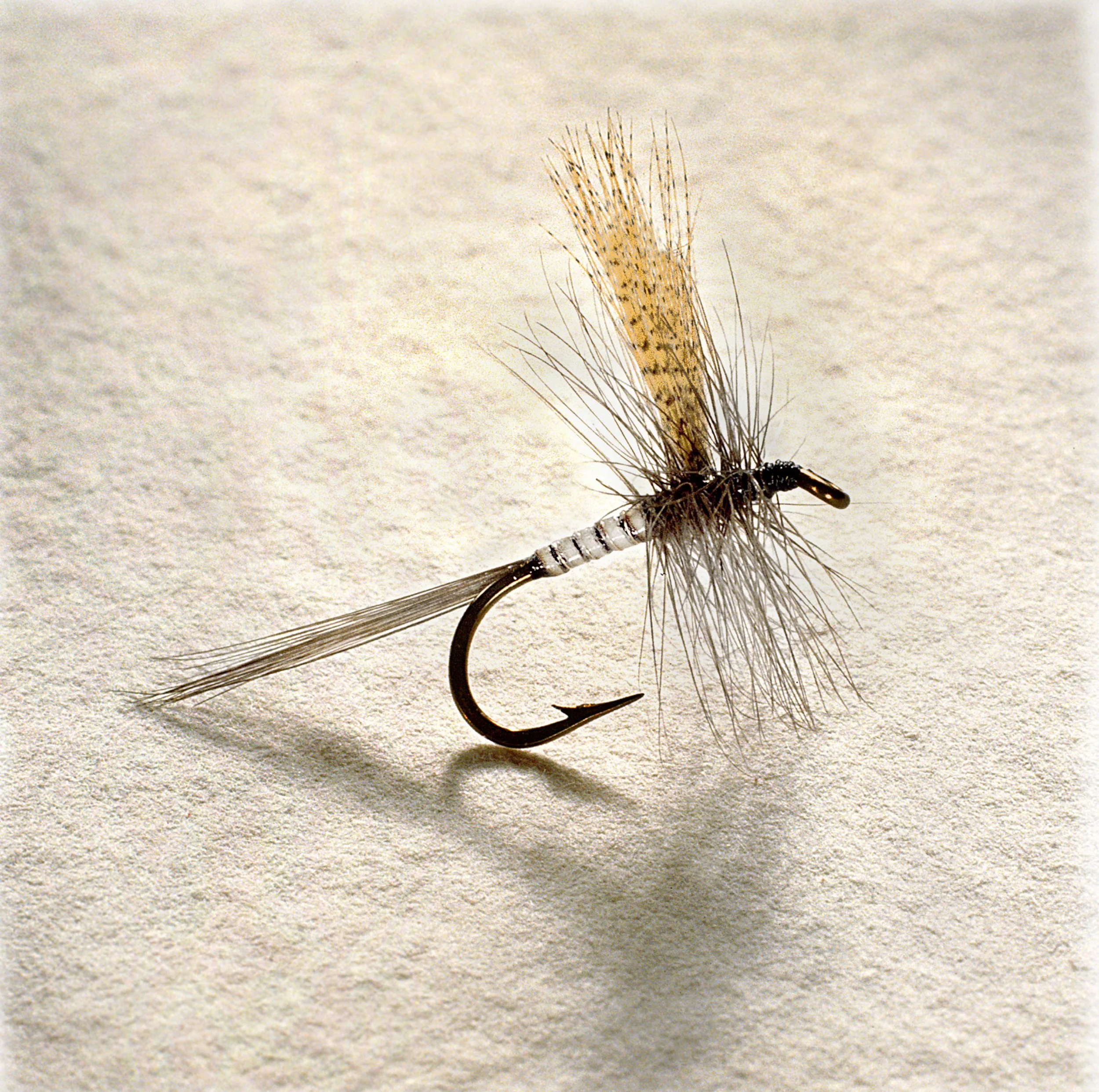QUILL RET PHOTO MASTER.jpg