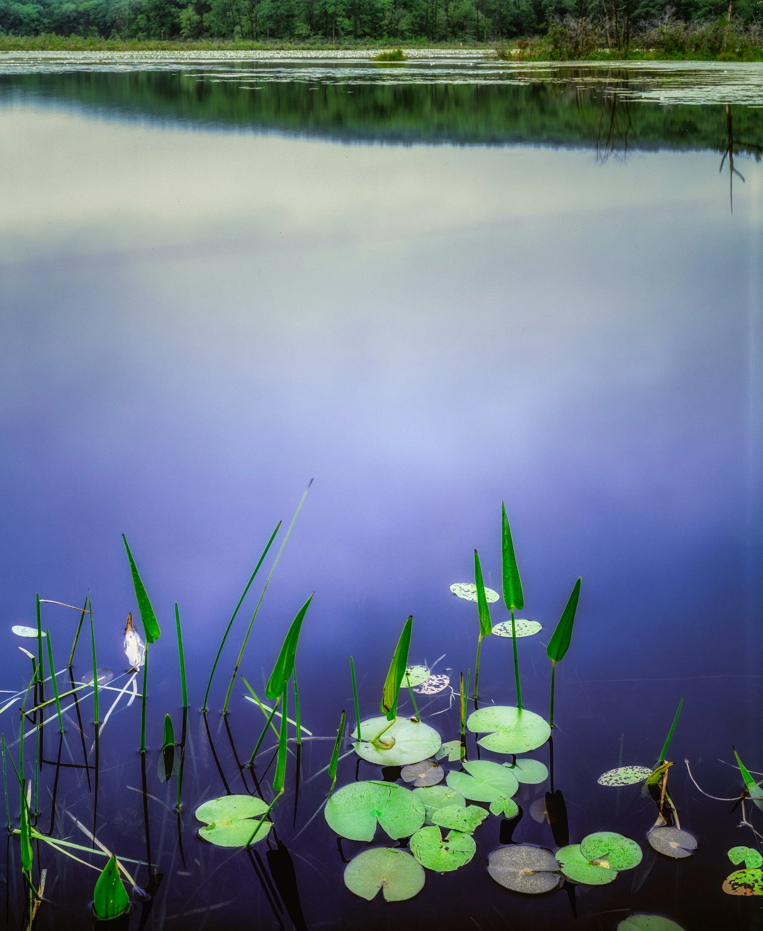 ct skiff pond-Edit.jpg