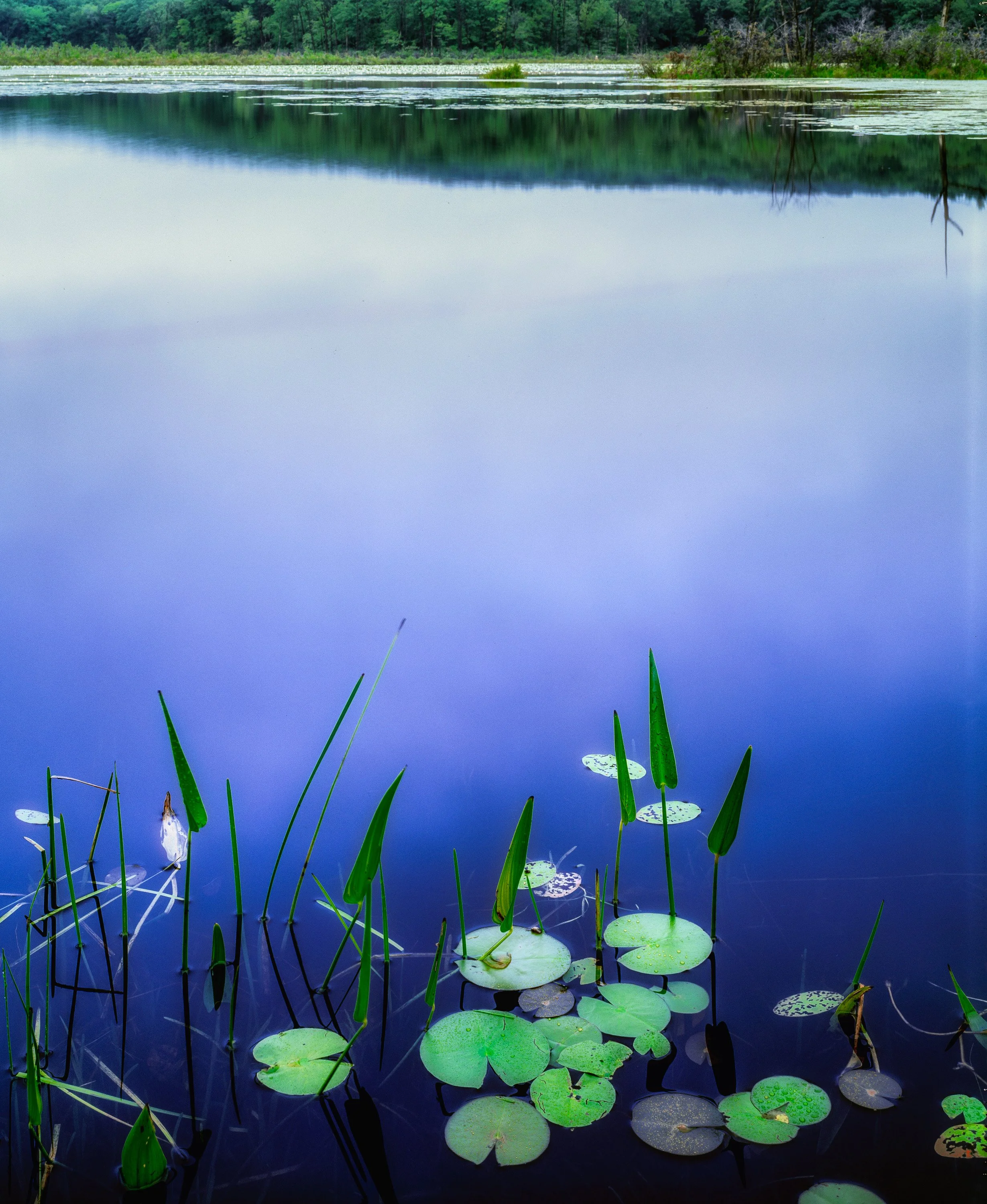ct skiff pond-Edit.jpg