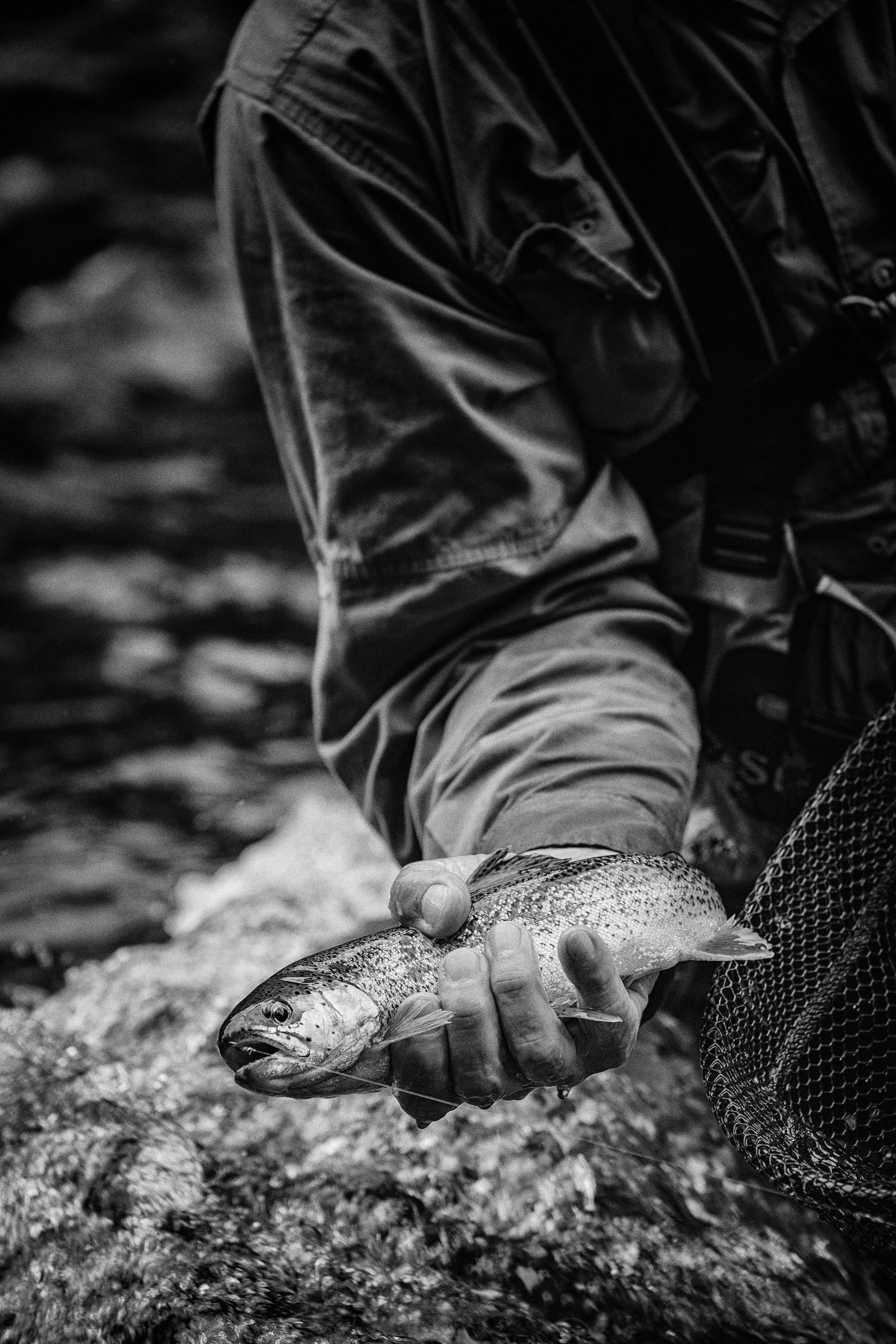 M_Swenson_CT_05-2017-532-Edit.jpg