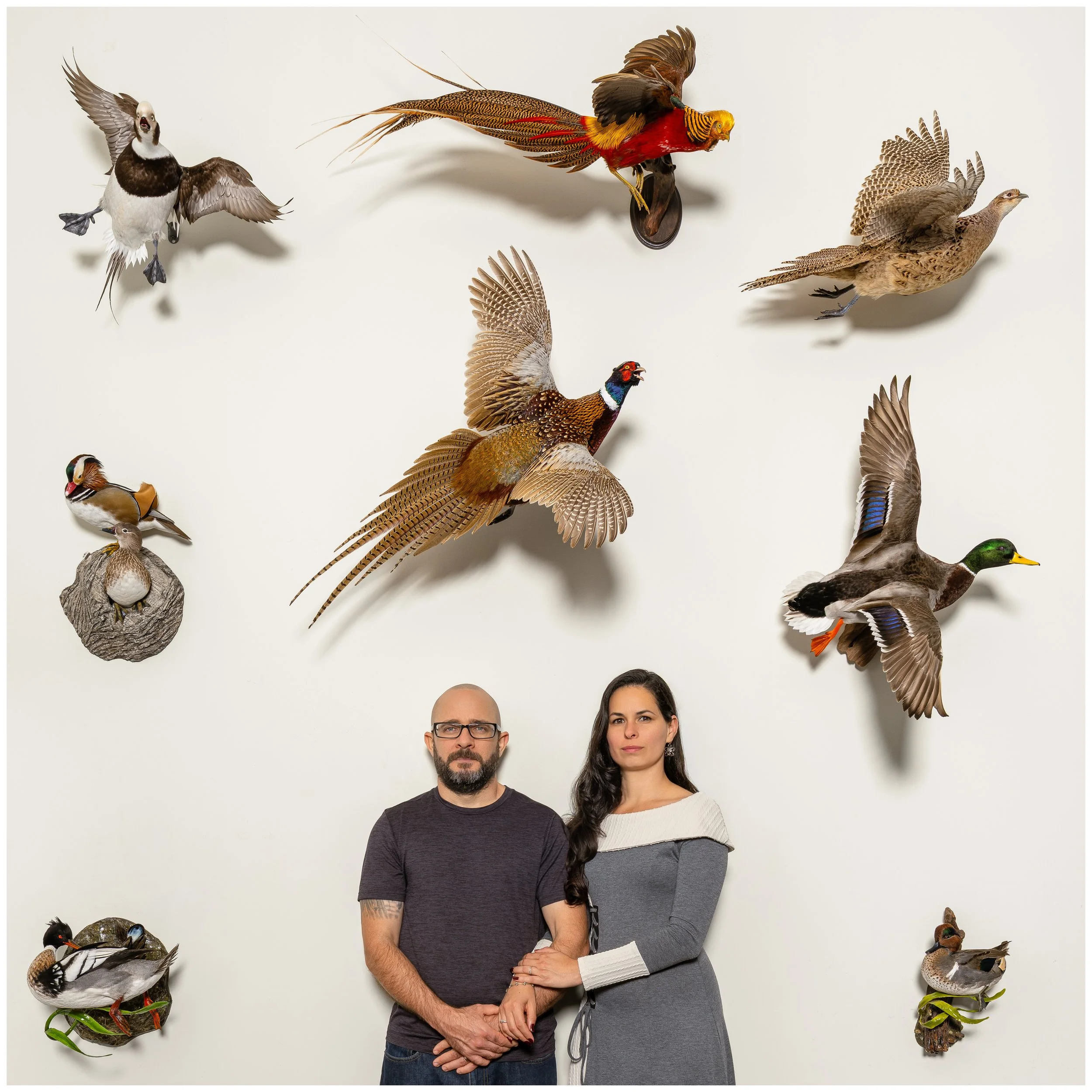 Aix_Taxidermy_mPortrait_Yaira_Tomás_11-09-2026-175-Edit-Edit.jpg