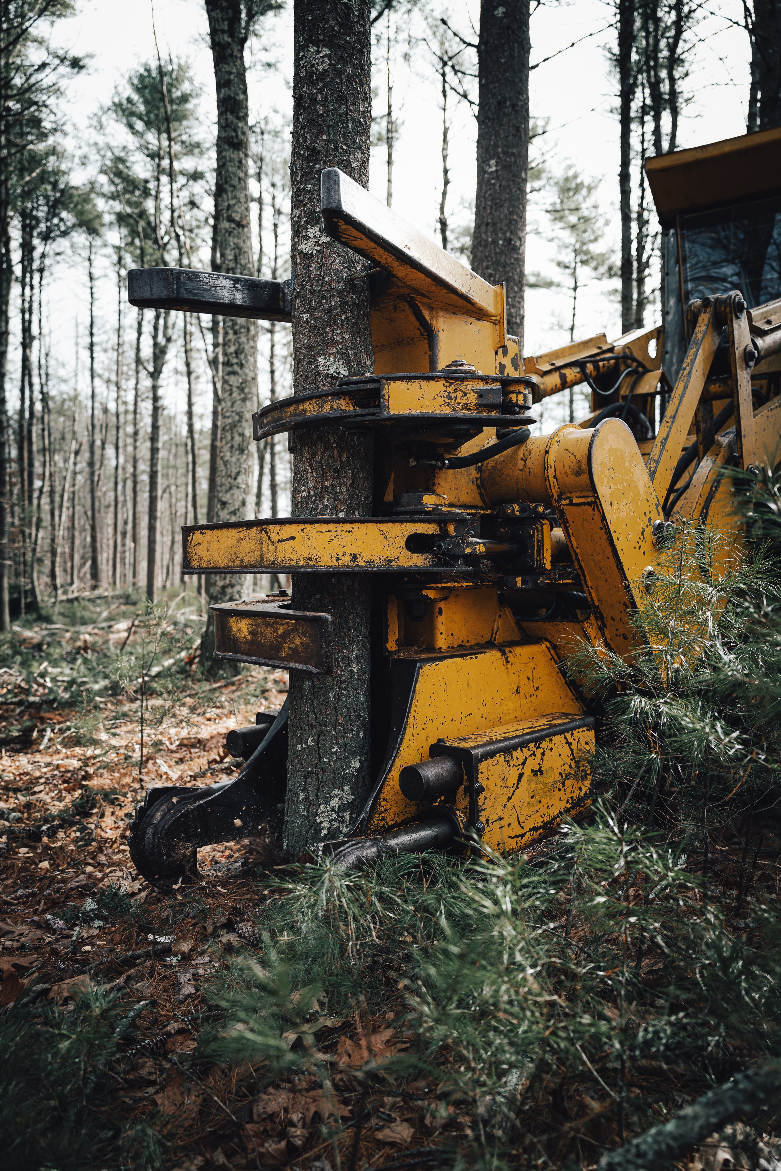 RI_Logging_Bob_Thurber_LQ2_2023_12_07-225.jpg