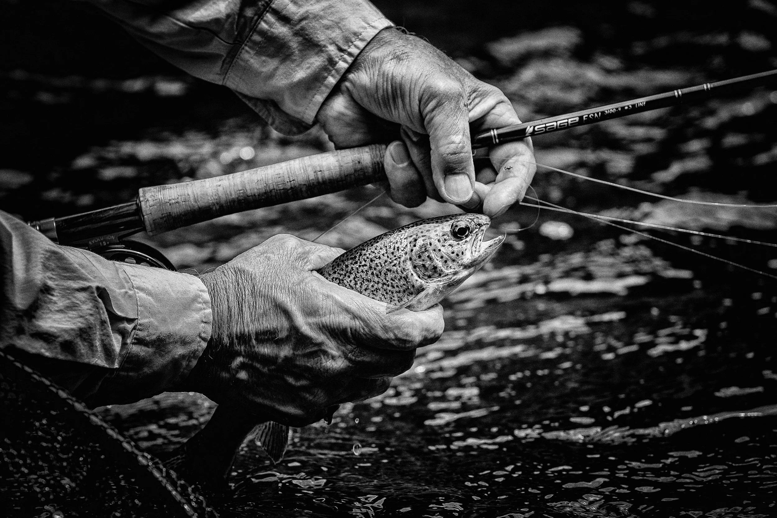 M_Swenson_CT_05-2017-1421-Edit-Edit.jpg