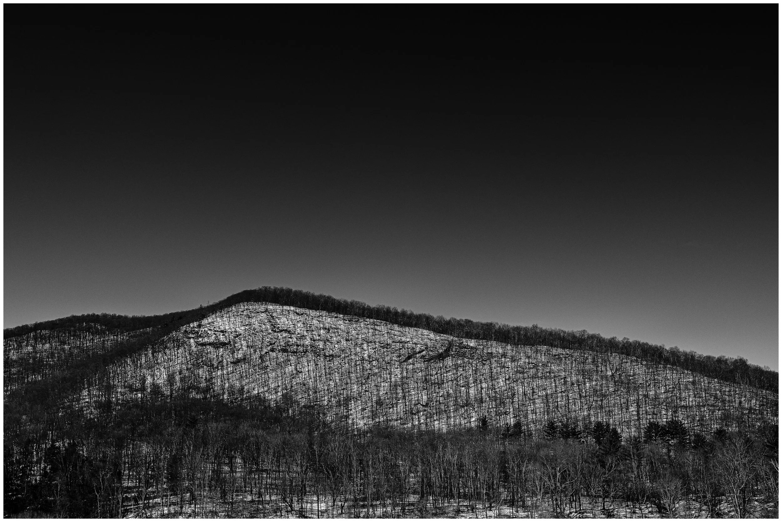 VT_stock_2022_02_01-12-Edit.jpg